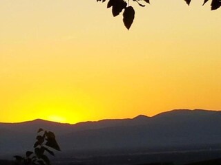 Apartment Vogtsburg Environment 24