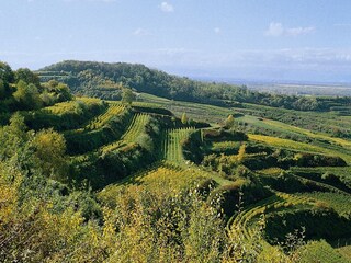 Appartamento Vogtsburg Ambiente 28