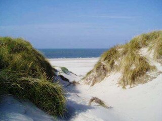 Holiday apartment Nebel  18