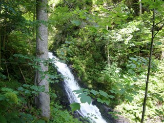 Maison de vacances Todtmoos Environnement 38