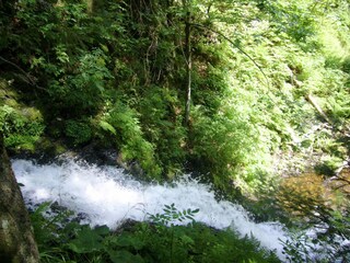 Casa per le vacanze Todtmoos Ambiente 34