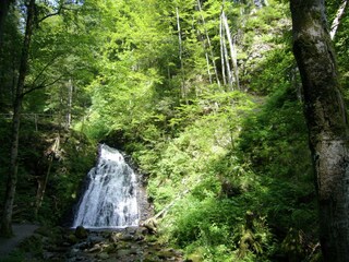 Vakantiehuis Todtmoos Omgeving 33