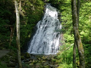Casa per le vacanze Todtmoos Ambiente 37