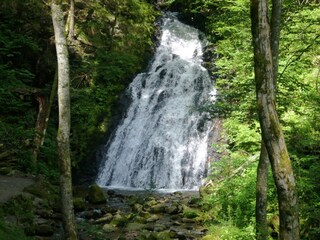 Casa de vacaciones Todtmoos Entorno 33