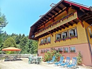 Ferienhaus im Schwarzwald mit Terrasse - Todtmoos - image1