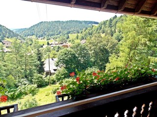 Casa per le vacanze Todtmoos Registrazione all'aperto 3
