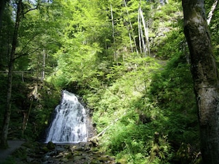 Vakantiehuis Todtmoos Omgeving 31