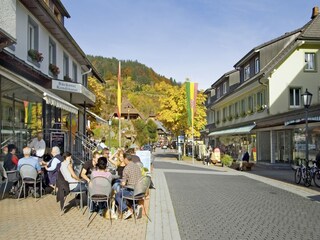 Vakantiehuis Todtmoos Omgeving 34