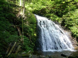 Maison de vacances Todtmoos Environnement 34