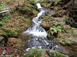 Ferienhaus Todtmoos Umgebung 36