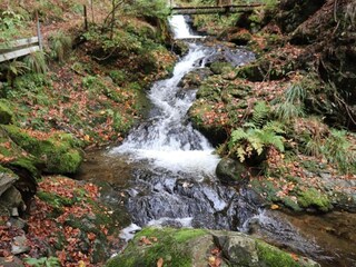 Vakantiehuis Todtmoos Omgeving 38