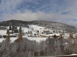 Casa per le vacanze Todtmoos Ambiente 38