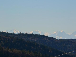 Maison de vacances Todtmoos Environnement 38