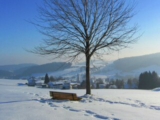 Apartamento Herrischried Entorno 39