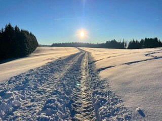 Apartment Herrischried Umgebung 31