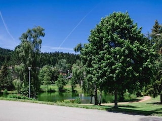 Apartment Herrischried Umgebung 32