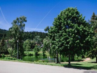 Appartement Herrischried Environnement 23