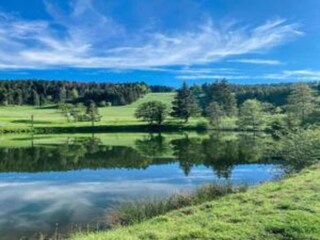 Appartamento Herrischried Ambiente 38