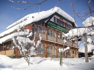 Appartamento Bernau im Schwarzwald Registrazione all'aperto 3