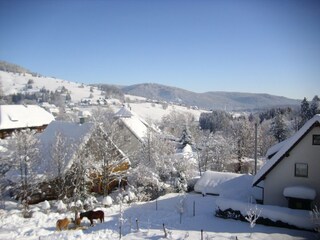Appartement Bernau im Schwarzwald Buitenaudio-opname 11