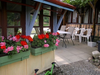 Apartment Bernau im Schwarzwald Outdoor Recording 6
