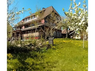 Appartamento Bernau im Schwarzwald Registrazione all'aperto 9
