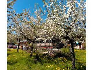 Appartamento Bernau im Schwarzwald Registrazione all'aperto 11