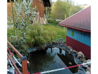 Appartamento Bernau im Schwarzwald Registrazione all'aperto 14