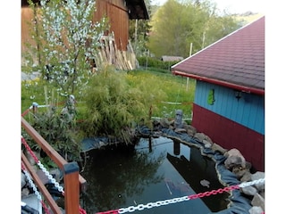 Appartement Bernau im Schwarzwald Buitenaudio-opname 11