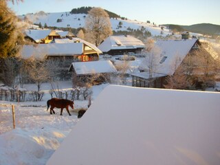 Appartement Bernau im Schwarzwald Buitenaudio-opname 6