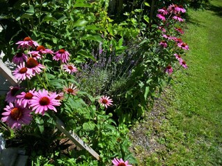 Appartamento Bernau im Schwarzwald  31