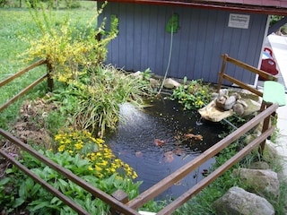 Apartment Bernau im Schwarzwald Außenaufnahme 4