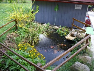 Apartment Bernau im Schwarzwald Outdoor Recording 4