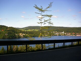 Appartamento Bernau im Schwarzwald Ambiente 31