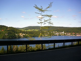 Appartement Bernau im Schwarzwald Omgeving 31