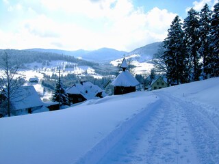 Apartamento Bernau im Schwarzwald Entorno 21