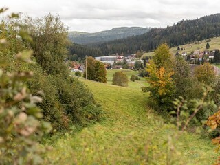 Appartement Bernau im Schwarzwald Buitenaudio-opname 2