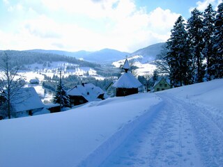 Appartement Bernau im Schwarzwald Environnement 21