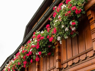 Apartamento Bernau im Schwarzwald  24