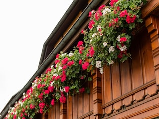 Apartment Bernau im Schwarzwald  23