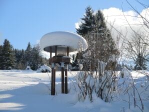 Apartment in Bernau Black Forest with valley view - Bernau im Schwarzwald - image1