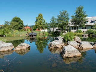 Apartment Bernau im Schwarzwald Umgebung 20