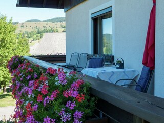 Appartement Bernau im Schwarzwald Buitenaudio-opname 7