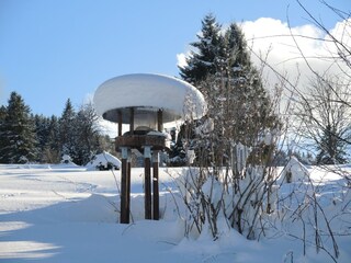 Apartment Bernau im Schwarzwald Außenaufnahme 9