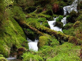 Appartamento Bernau im Schwarzwald Ambiente 28