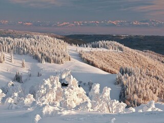 Appartement Bernau im Schwarzwald Environnement 39