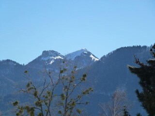 Appartement Bernau im Schwarzwald Omgeving 36
