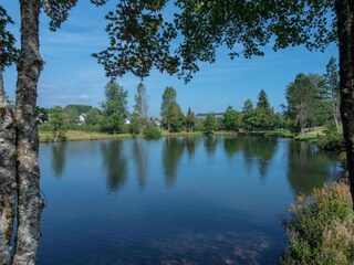 Appartamento Bernau im Schwarzwald Ambiente 31