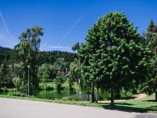 Appartement Bernau im Schwarzwald Environnement 21