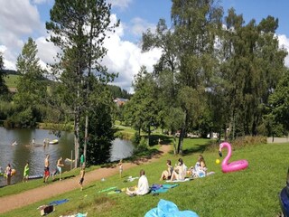 Appartamento Bernau im Schwarzwald Ambiente 33